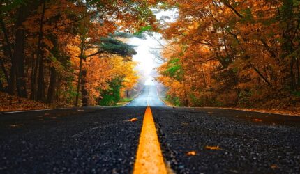 Autumn road