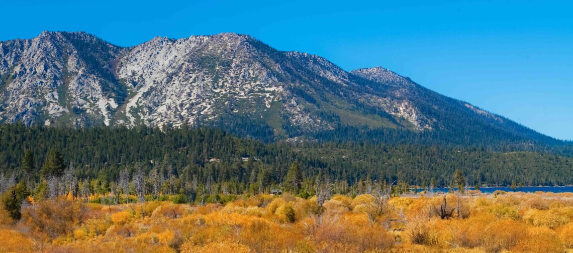 Golden Leaves on the Willow Trees Along Taylor Creek and Mount Tallac, Lake Tahoe, California, USA.