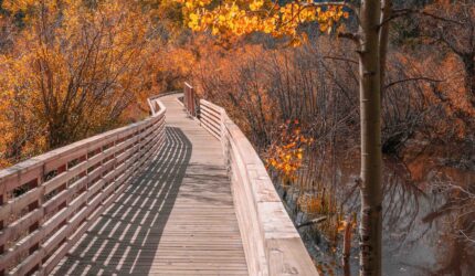 Tranquil boardwalk footpath landscape with autumn foliage with golden-colored trees near Lake Tahoe at Taylor Creek in Northern California